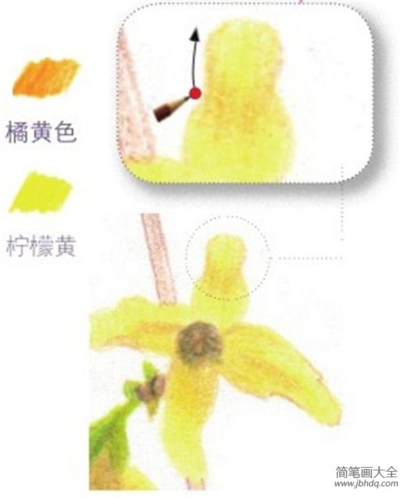 彩铅黄色迎春花的绘画技法