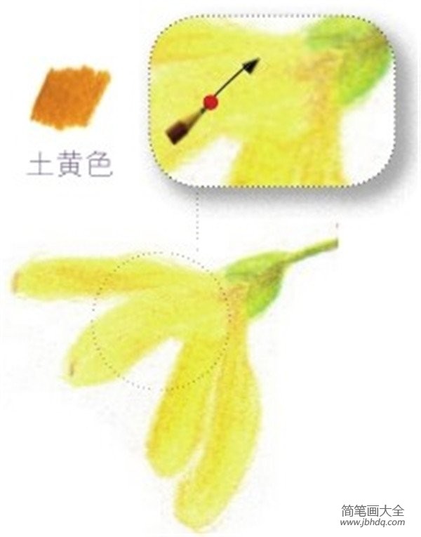 彩铅黄色迎春花的绘画技法