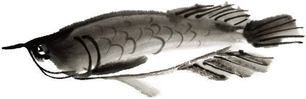 水墨金龙鱼的绘画技法