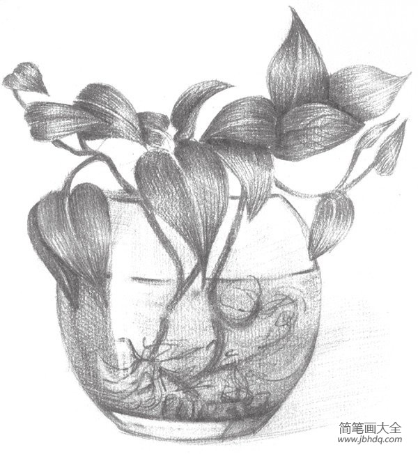 盆栽画法素描图片