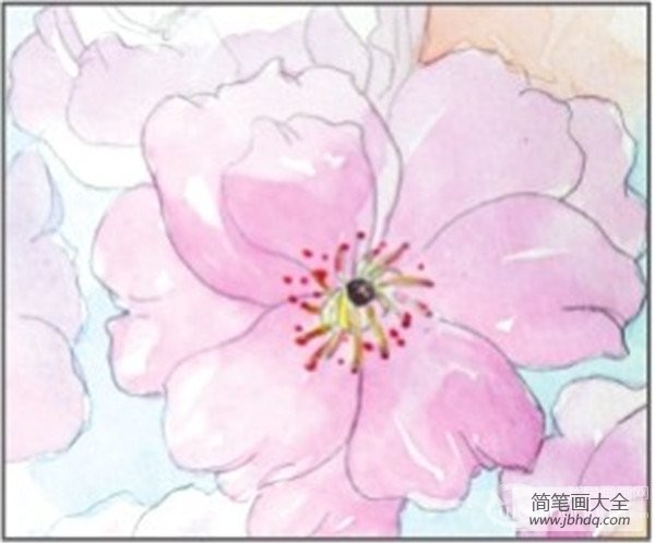 水彩淡化法樱花的绘画技法