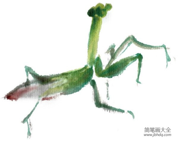 水墨螳螂的绘画技法