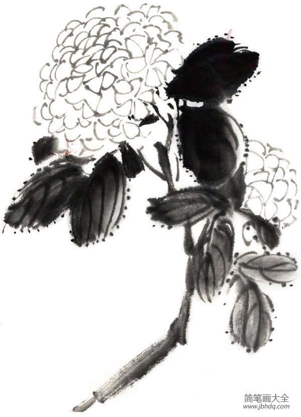 水墨绣球花的绘画技法