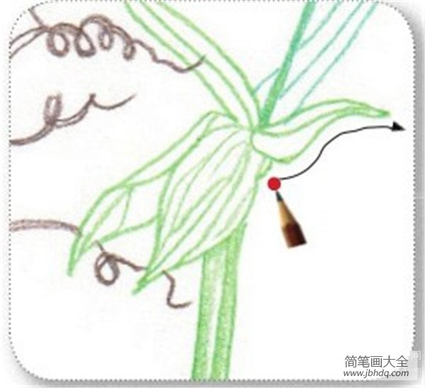 彩铅香豌豆的绘画技法