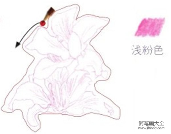 彩铅紫荆花的绘画技法