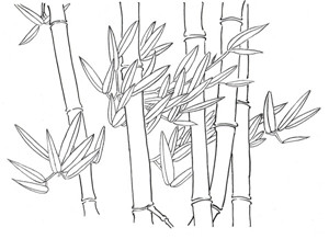 白描竹子的绘画技法