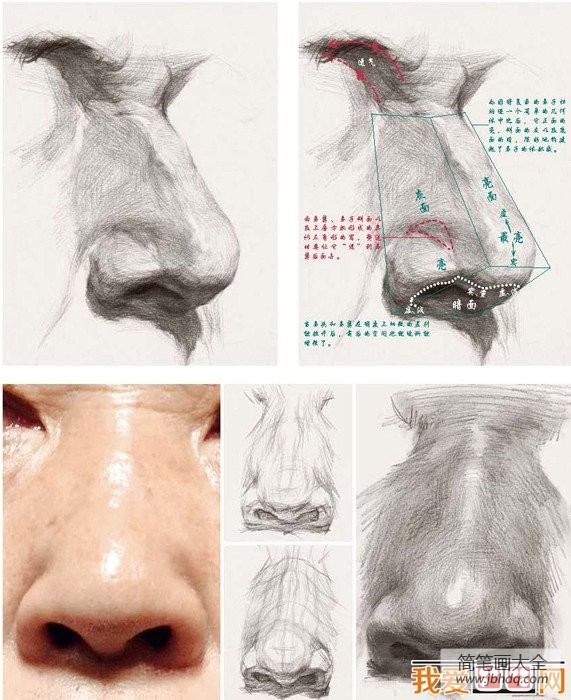 素描鼻子的绘画技法