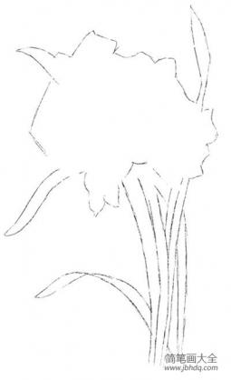 水粉植物画入门技法：水仙花的绘画步骤教程