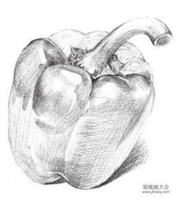 素描柿子椒的绘画步骤