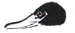 水墨野鸭绘画技法
