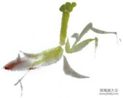 水墨螳螂的绘画技法