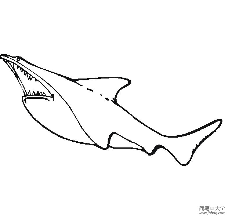 凶猛的大白鲨怎么画(3)