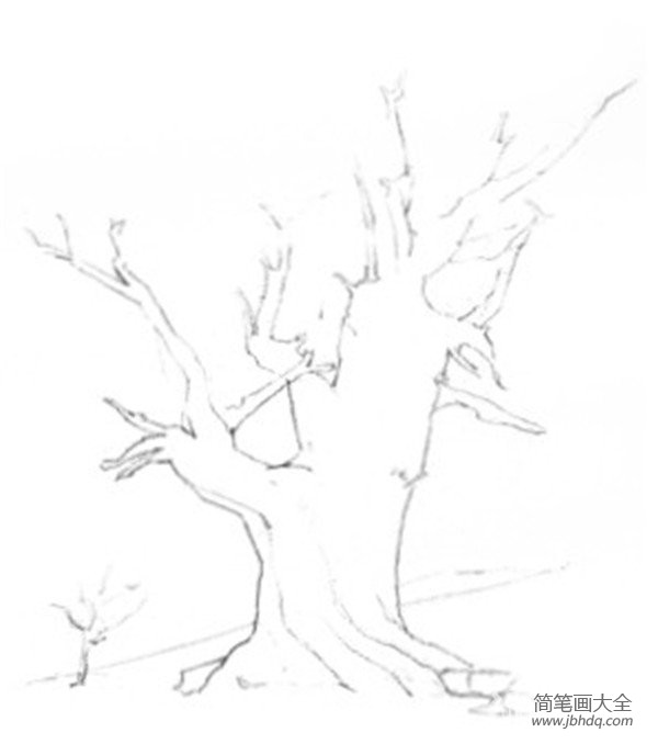 素描枯树的绘画教程