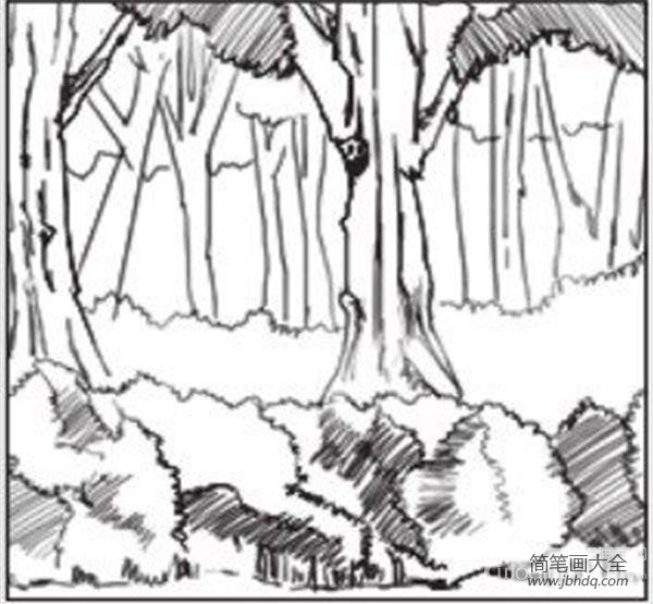 速写树林的绘画技法