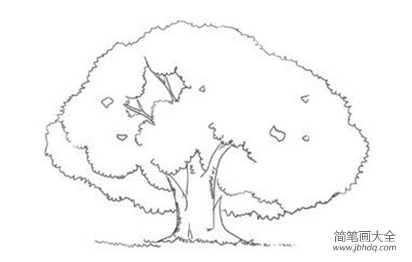 速写树的立体感绘画技法