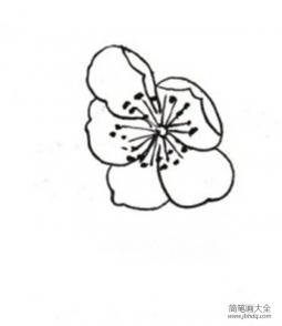 白描桃花蝴蝶的绘画技法