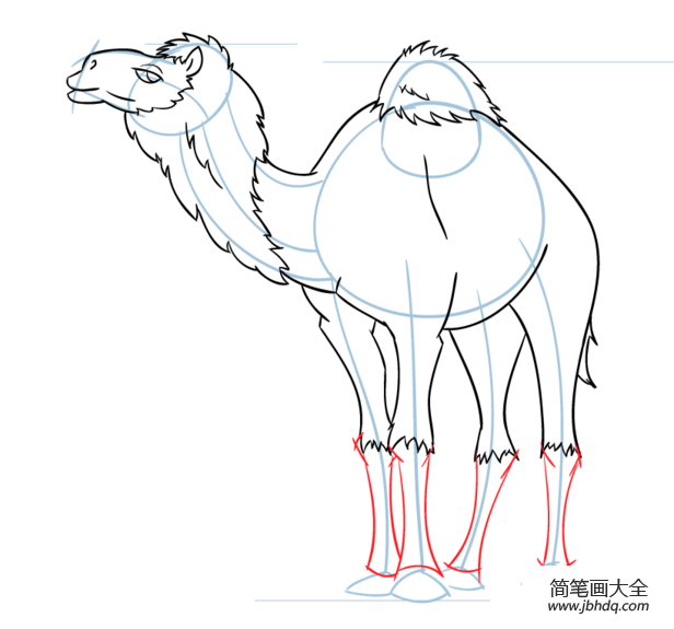 卡通骆驼怎么画