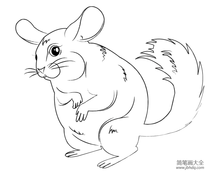 卡通南美洲栗鼠怎么画