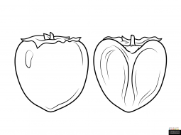 简单的柿子画法