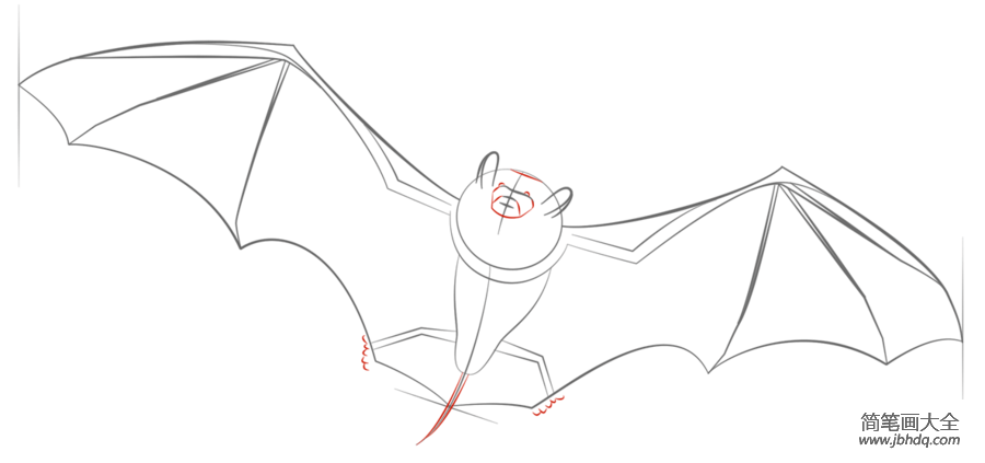 如何画蝙蝠