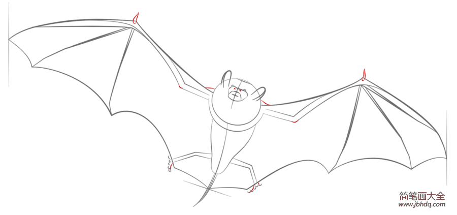 如何画蝙蝠