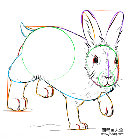 如何画兔子
