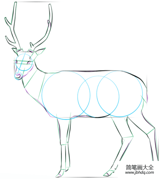 如何画白鹿