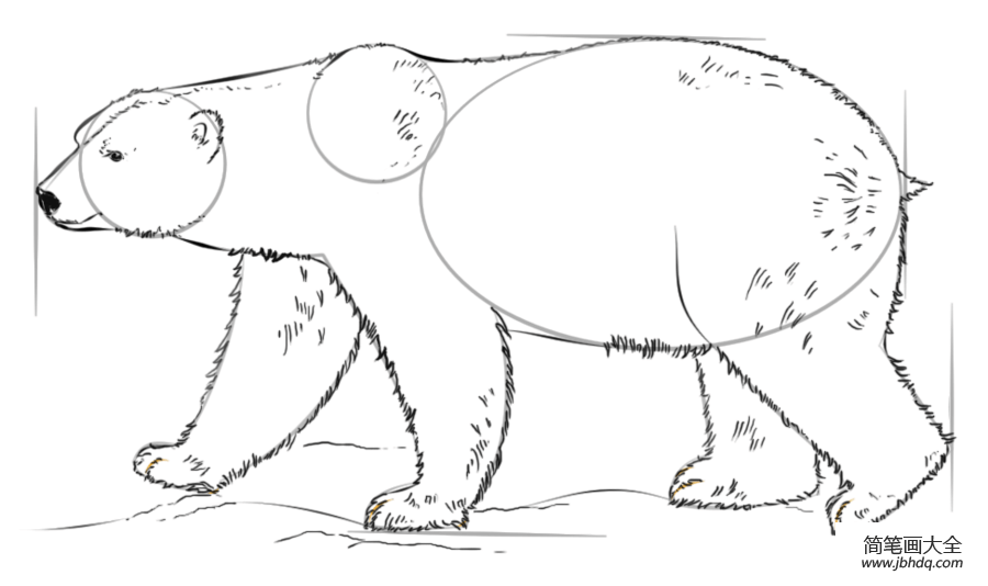 如何画北极熊