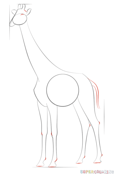 如何画长颈鹿