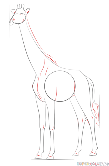 如何画长颈鹿