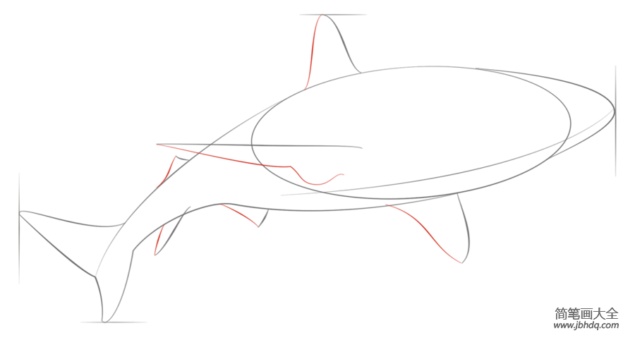 如何画加勒比礁鲨鱼