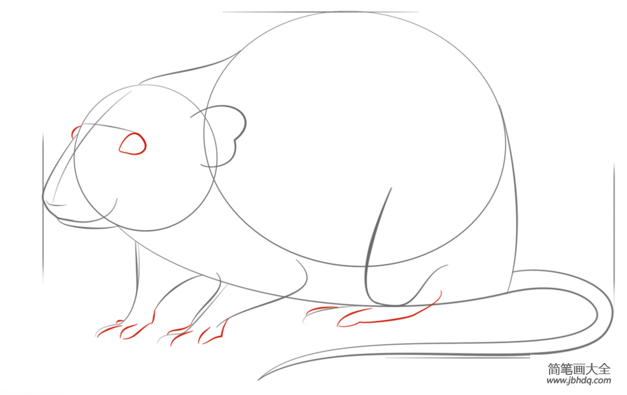 如何画一只老鼠