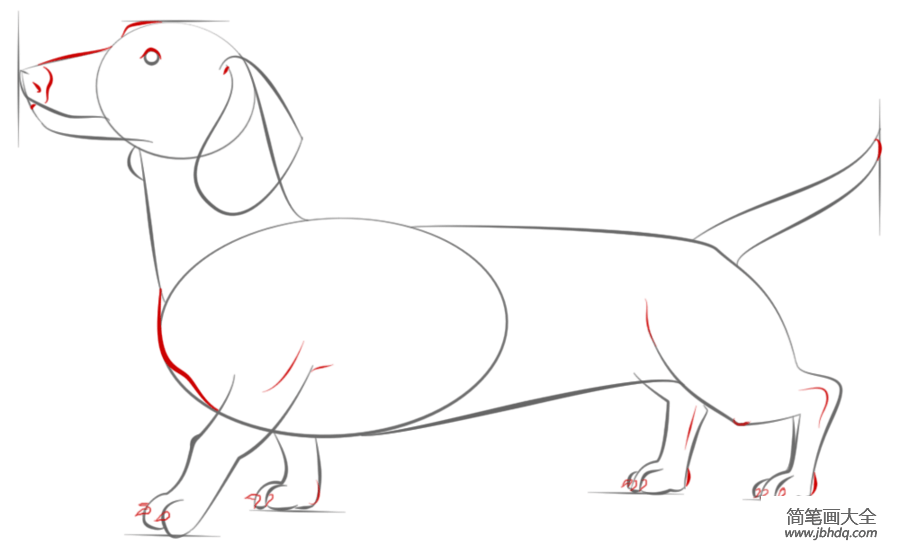 如何画小猎犬