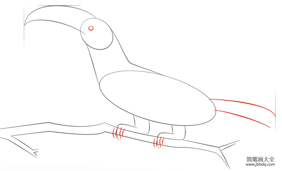 如何画巨嘴鸟