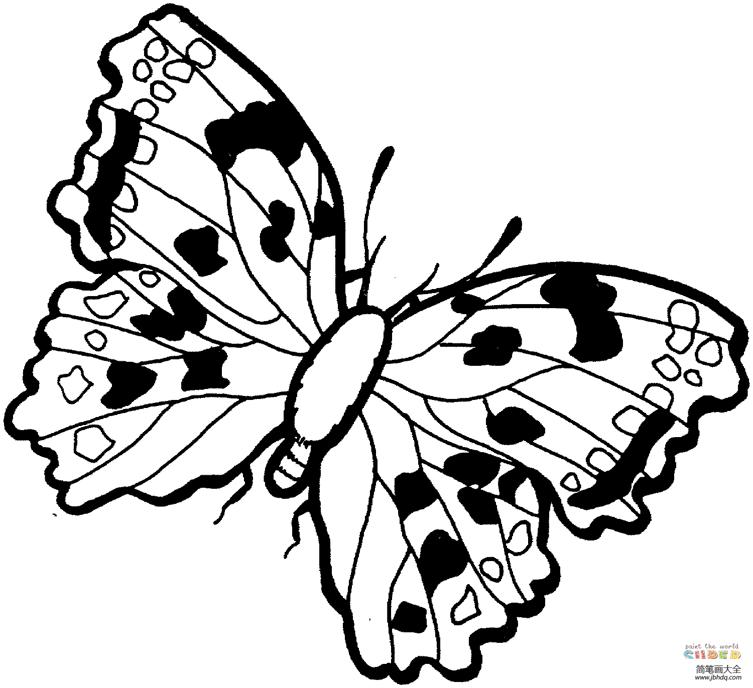 蝴蝶的简笔画唯美图片