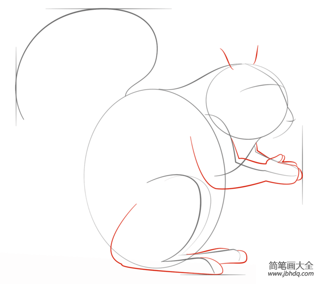 如何画灰松鼠