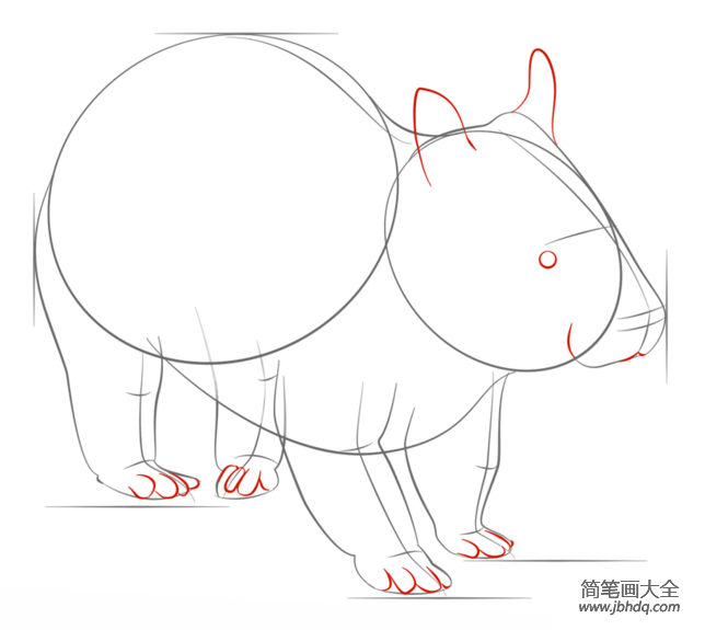 如何画袋熊