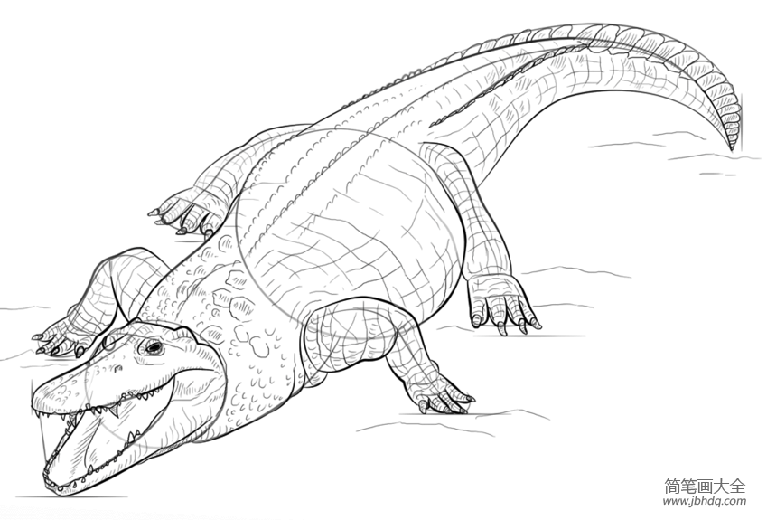 如何画尼罗河鳄鱼