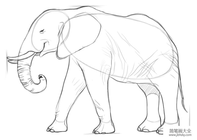 如何画非洲象