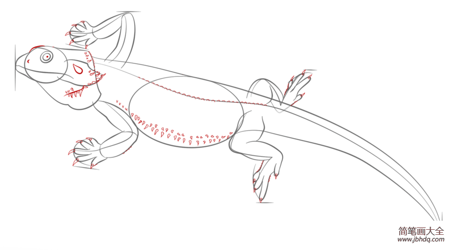如何画一条松狮蜥