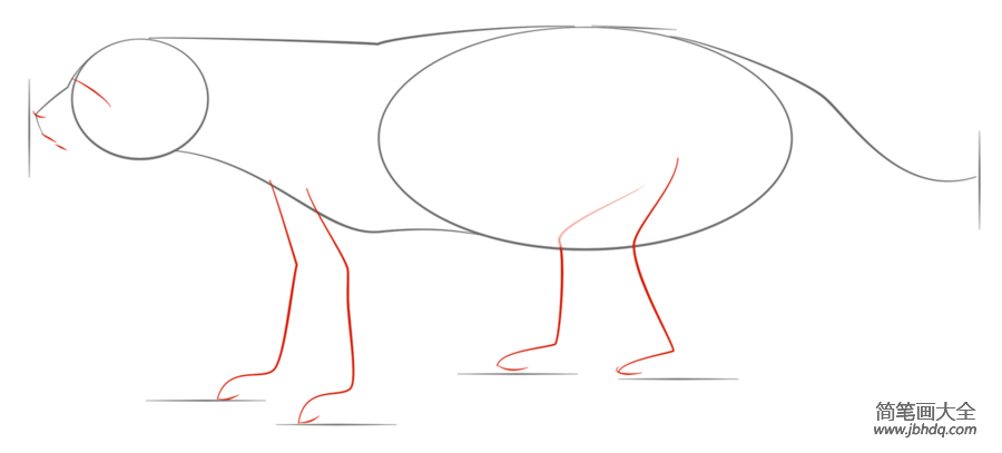 如何画一个蜜獾