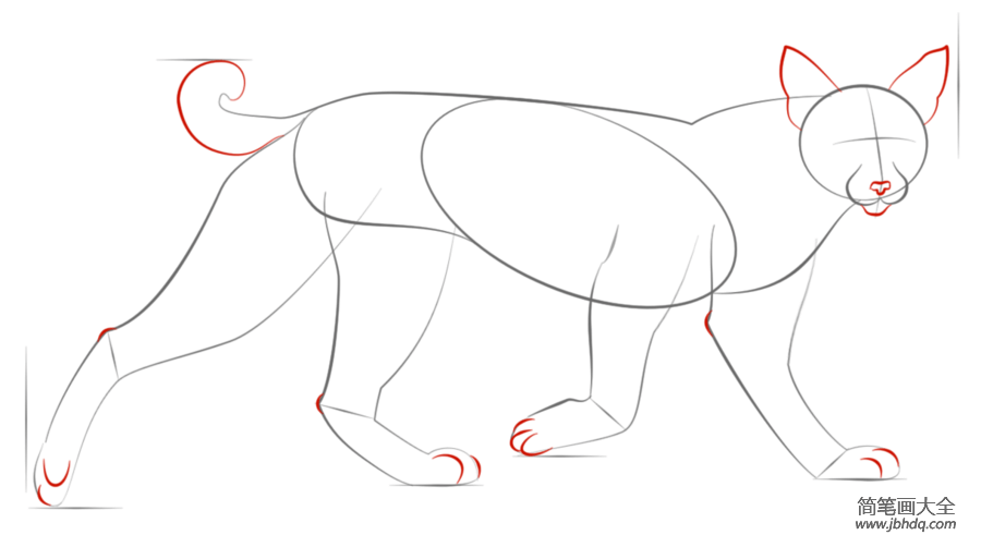 如何画山猫