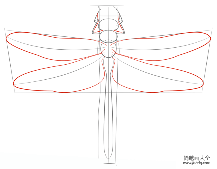 如何画蜻蜓