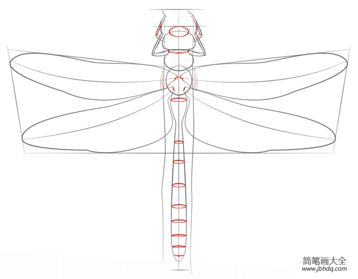如何画蜻蜓