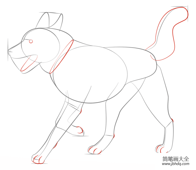 如何画西伯利亚雪橇犬
