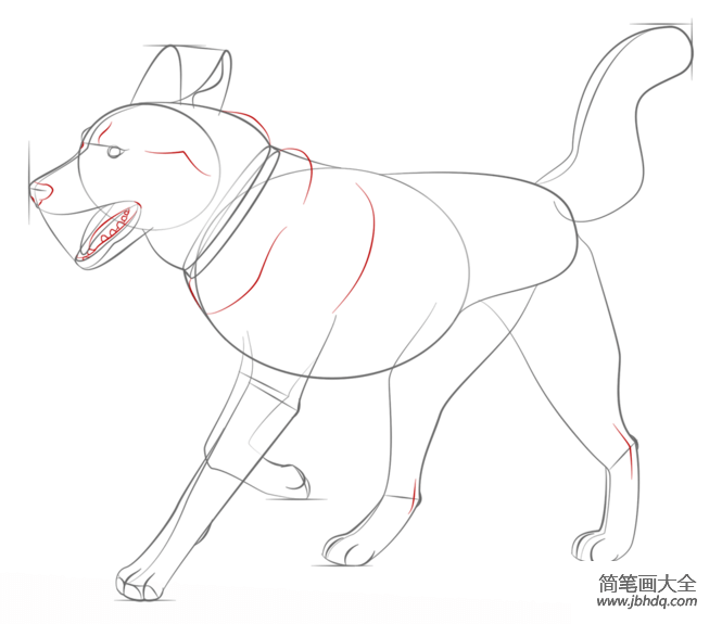 如何画西伯利亚雪橇犬