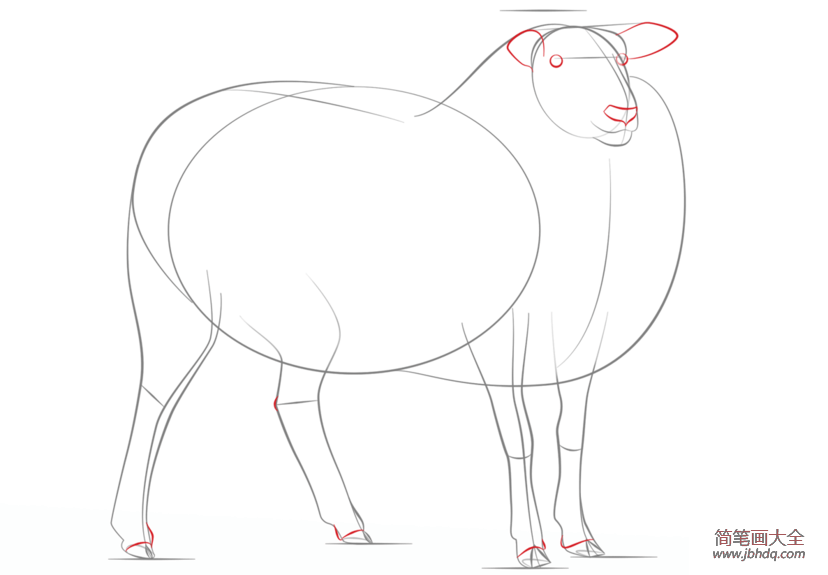 如何画一只羊