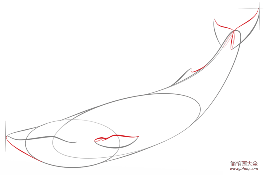 如何画蓝鲸简笔画