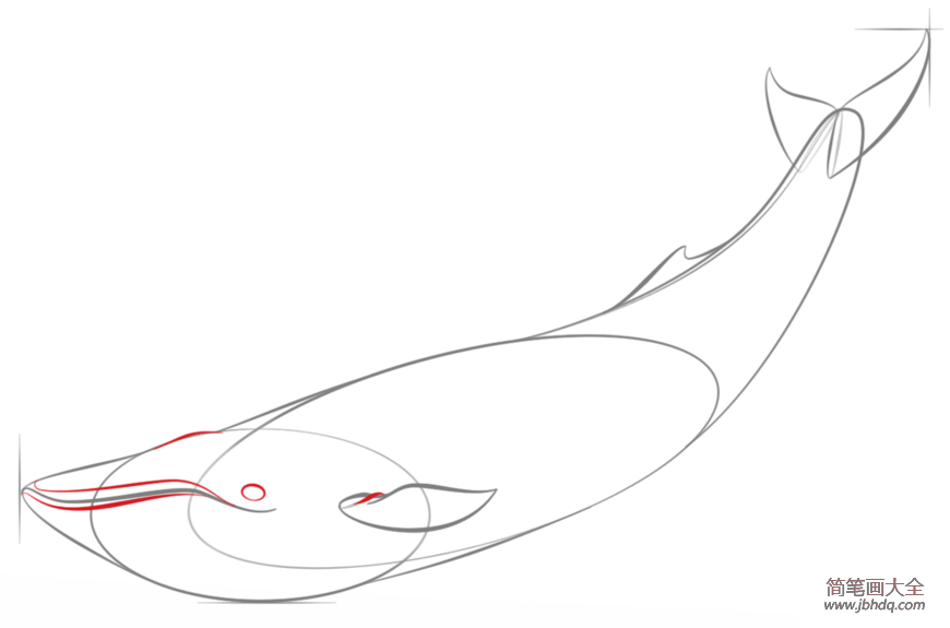如何画蓝鲸简笔画