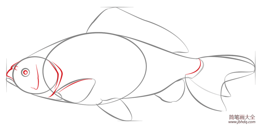 如何画锦鲤鱼简笔画